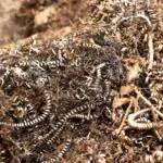 فروش ضایعات فلزی: 6 ترفند افزایش قیمت و جلوگیری از ضرر